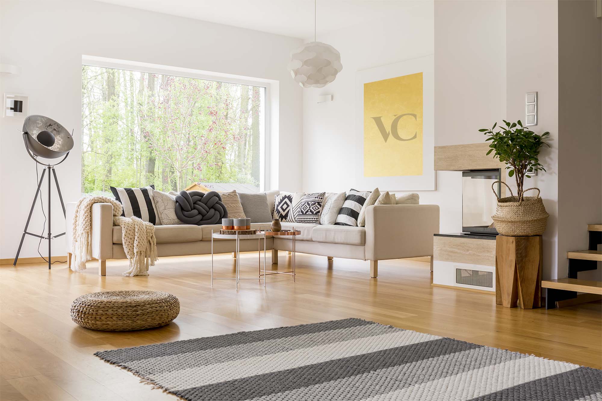 Valesar cleaing webimage 1