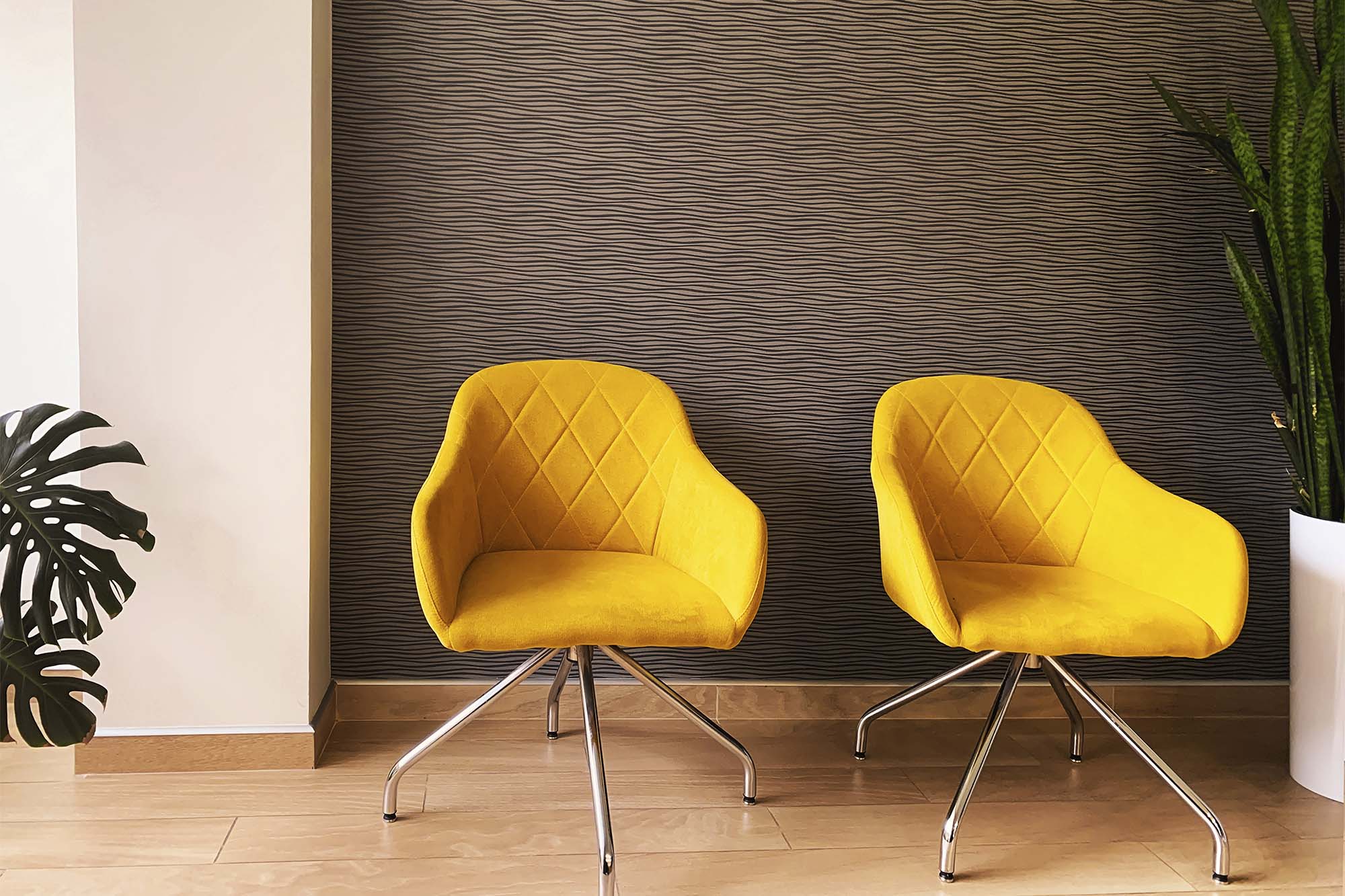 Valesar-Cleaing-webimage-7 Valesar cleaing webimage 7